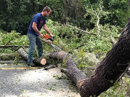 Best Seasonal Cleanup (Spring/Fall)  in Bainbridge Island, WA